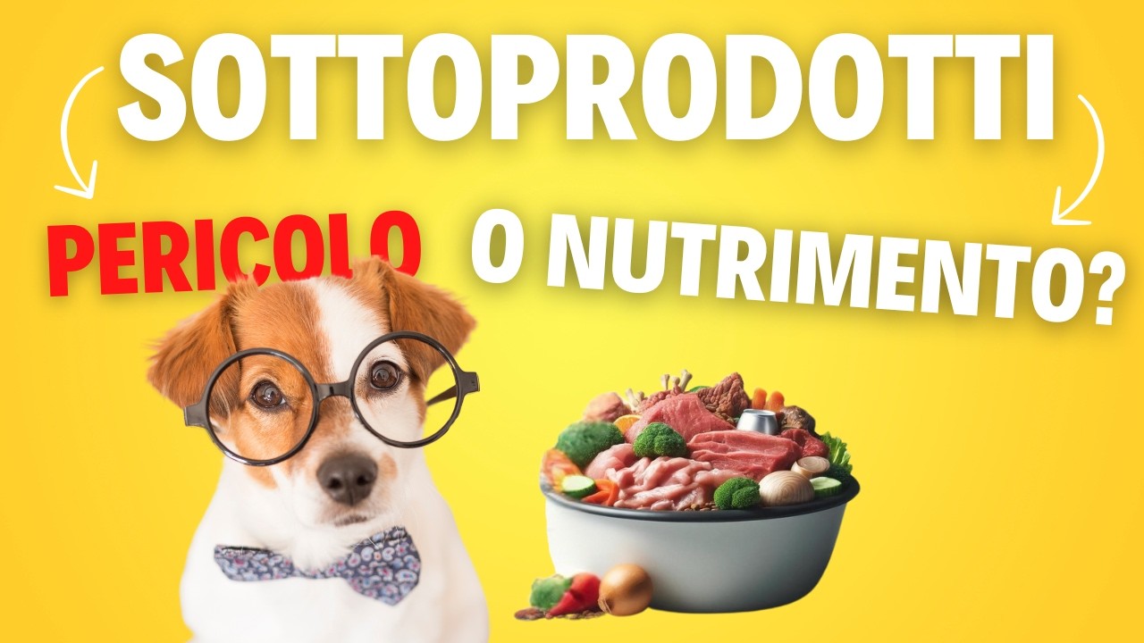 Sottoprodotti di origine animale nel pet food: cosa sono davvero?