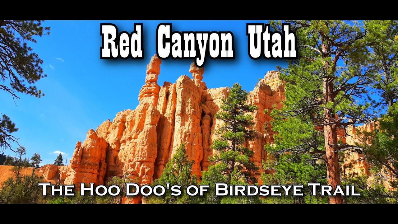 Birdseye Trail Utah