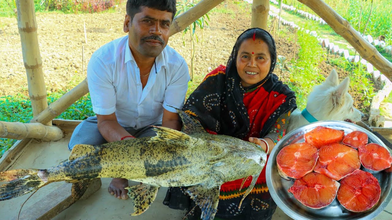 প্রথমবার আমাদের বাড়িতে এই মাছ রান্না হল |বাঘা আইড় মাছের রেসিপি|Big River Fish Cutting & Cooking|