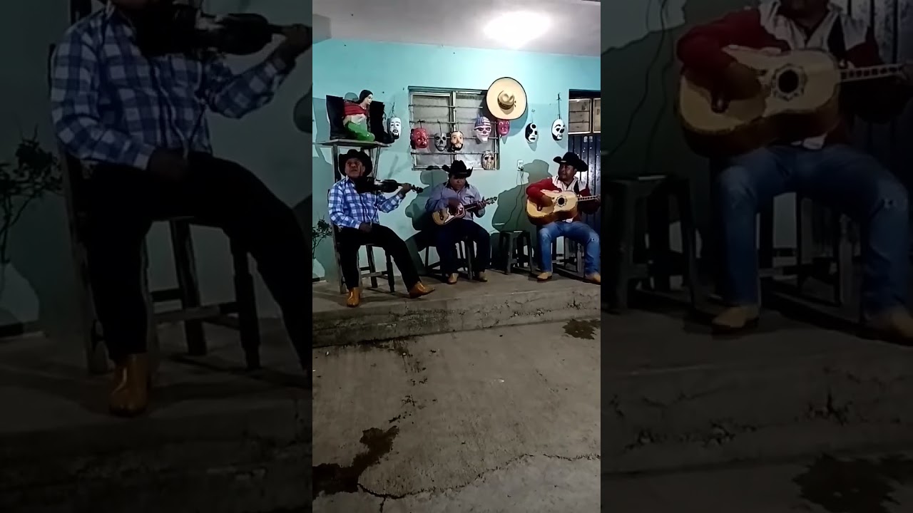 Carnaval Ixcuicuila 🎻 trío faisán huasteco 🎻🎵