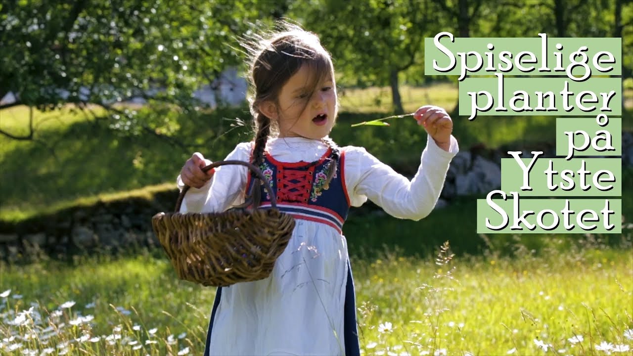 Ytste Skotet - Am&eacute;lia og spiselige planter // Am&eacute;lia and the edible plants