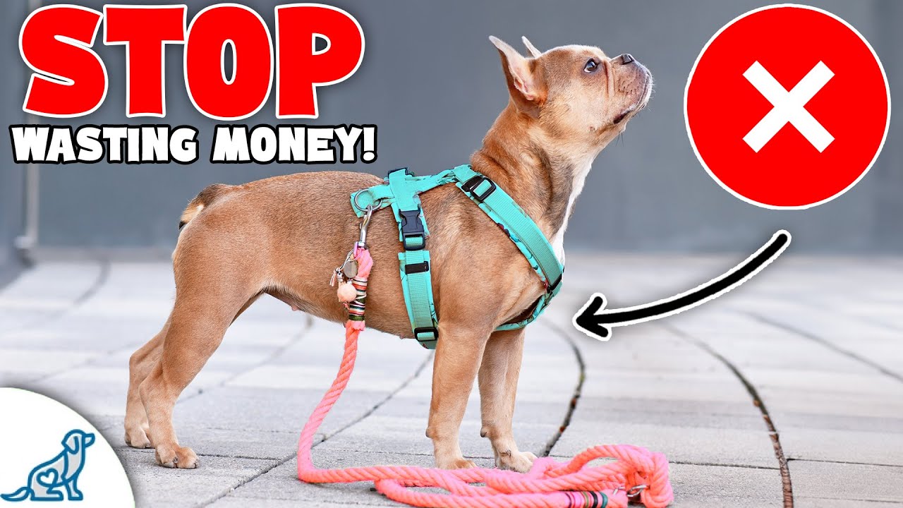 Don't Waste Your Money On These 9 