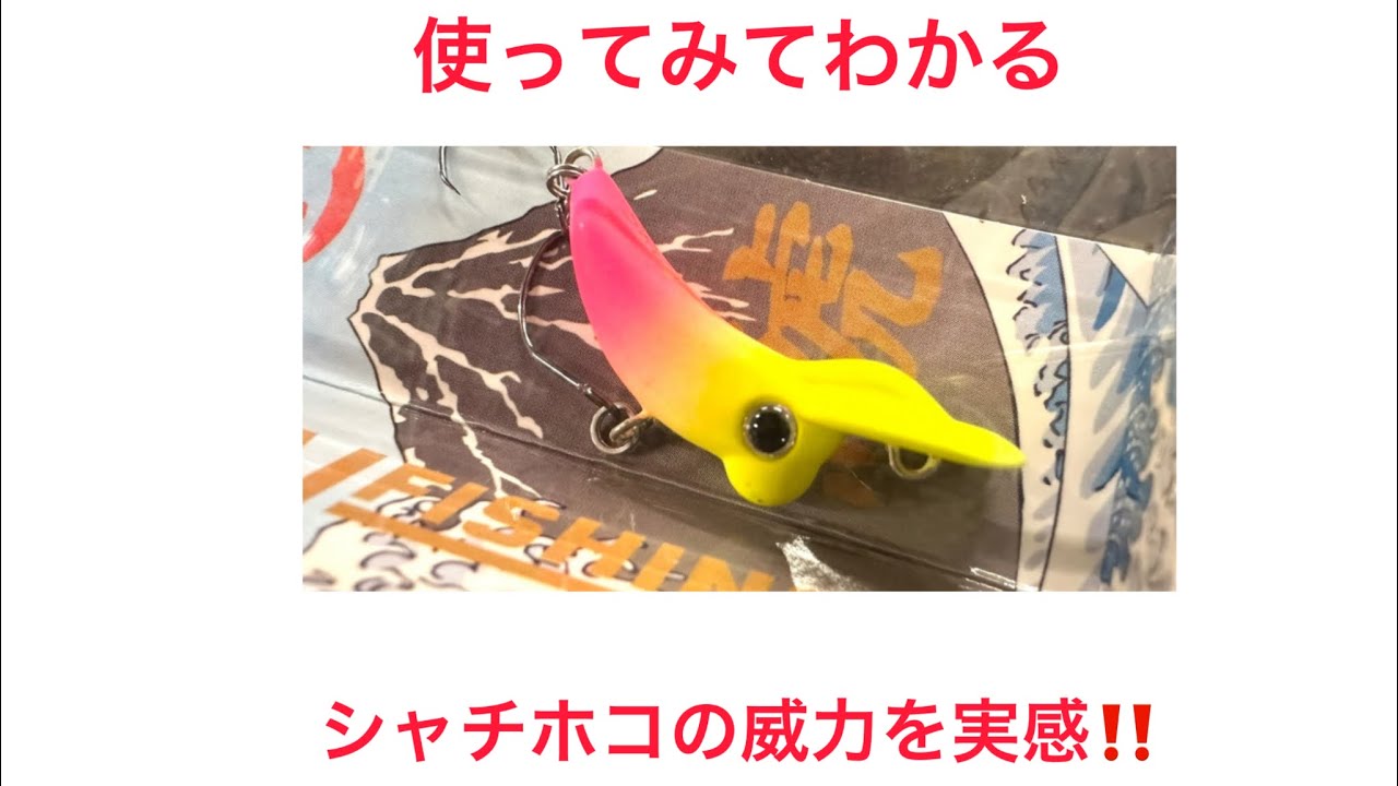 【必見】気になっていたルアーのポテンシャル