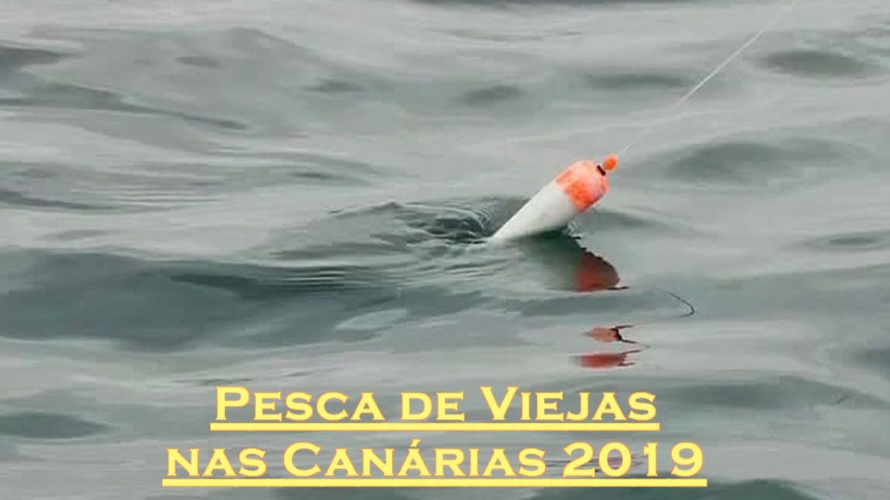 Pesca de Viejas nas Canárias com Bóia de Correr HD 2019