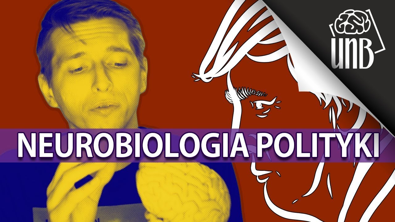 Czy istnieje m&oacute;zg lewaka? - czyli o neurobiologii pogląd&oacute;w politycznych