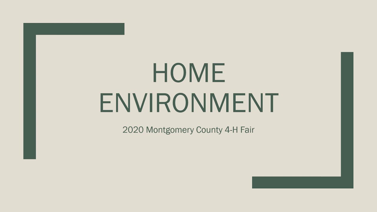 2020 4-H Fair - Home Environment Results