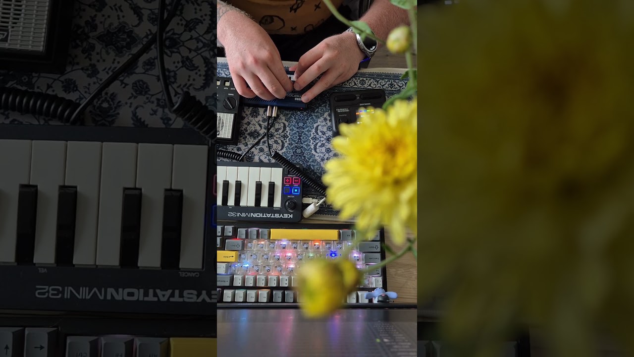 sonicake korg stylophone thunder ⚡️ 