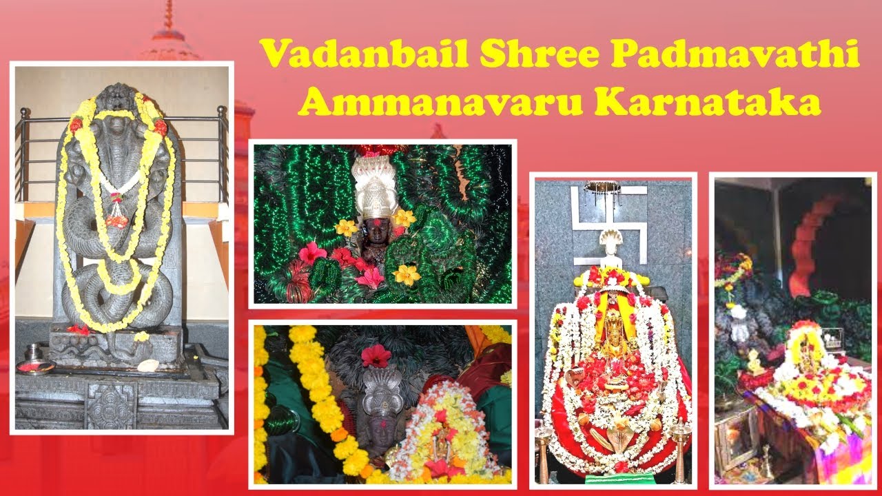 Shree Vadanbailu Padmavati Devi Temple | Vlog | Destination Anywhere