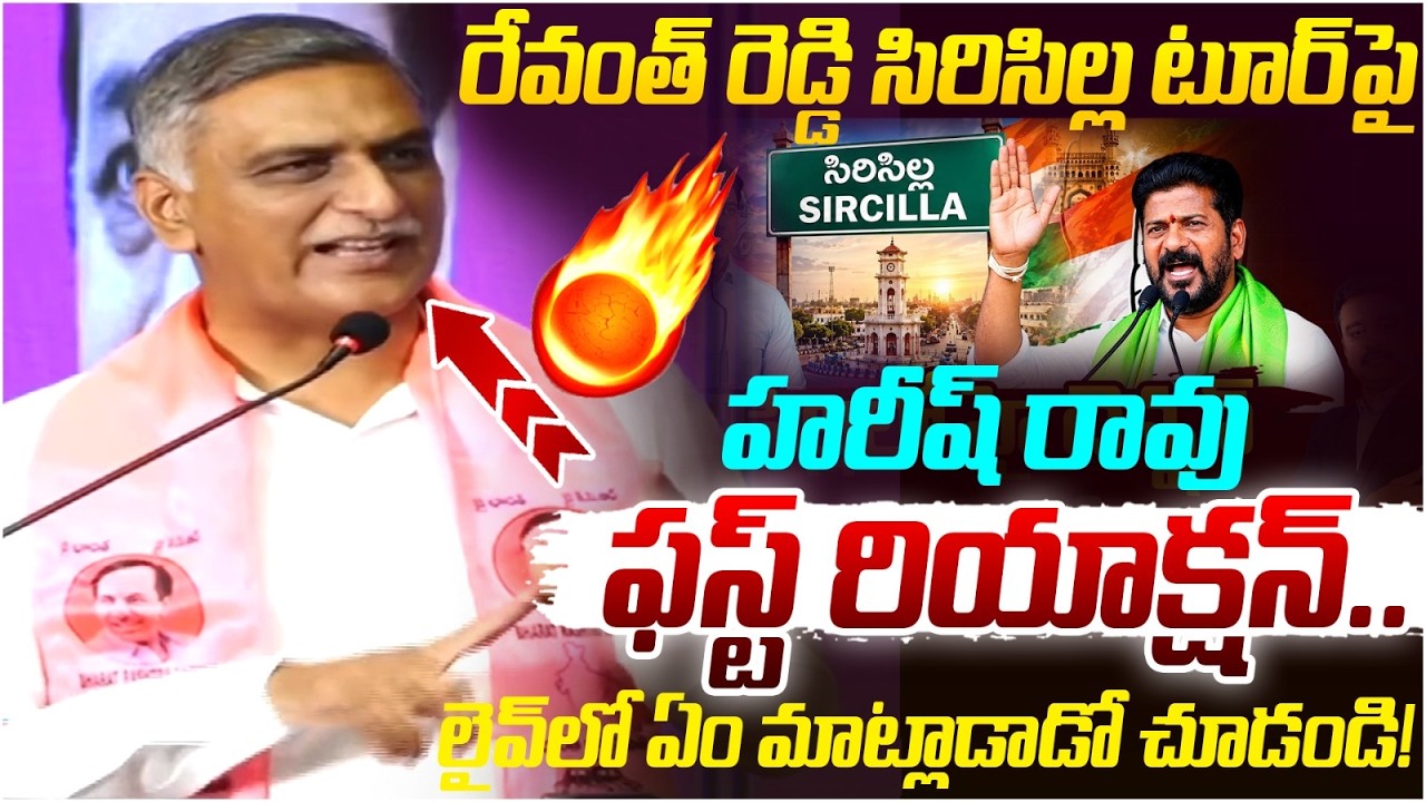 Harish Rao First Reaction on Revanth Reddy Sircilla Tour | KTR | Telangana Politics | Yuvagalam