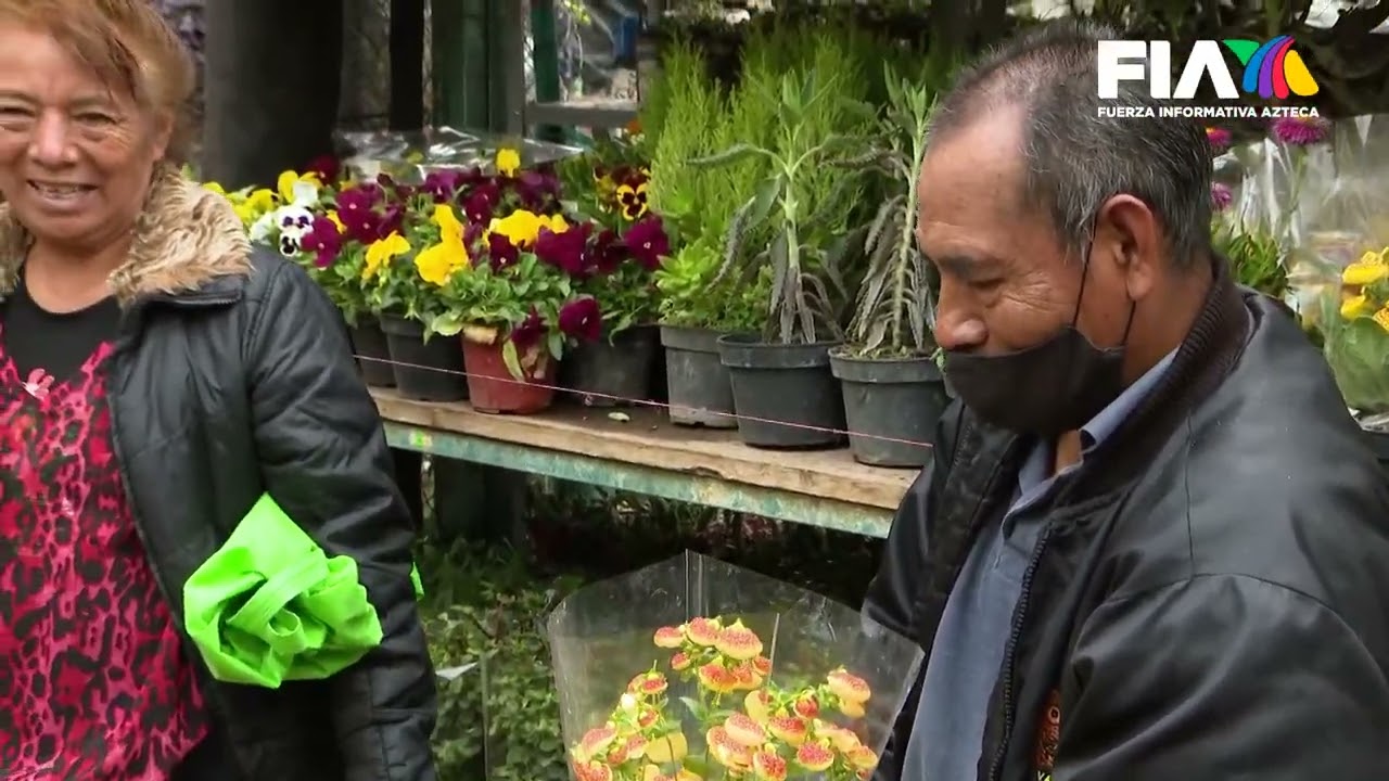 El más grande mercado de plantas vivas. Palacio de las Flores Xochimilco. Eterna Primavera