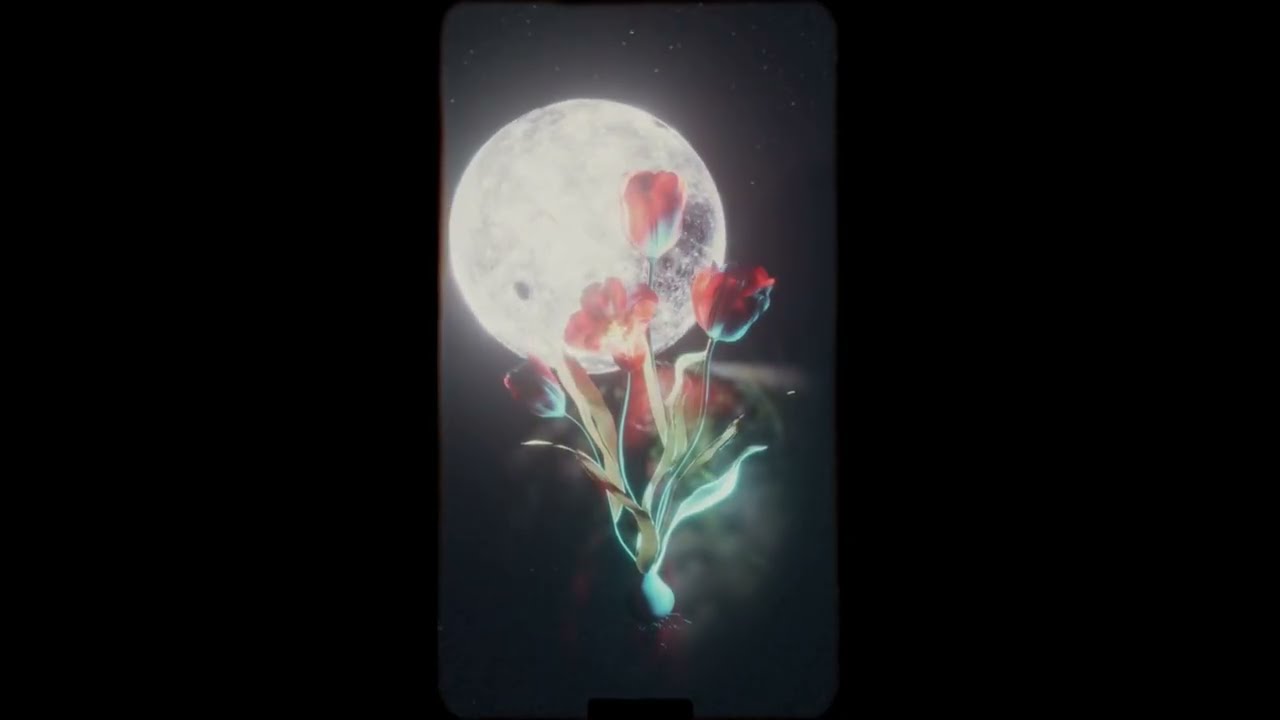 LUISA - Rise (Official music video)