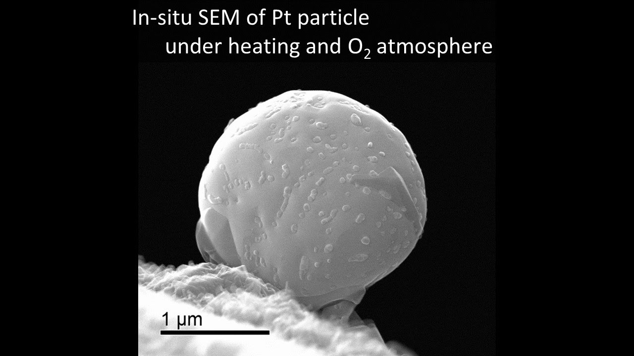 [Materials] In-situ SEM of Pt particle under heating and O2 atmosphere