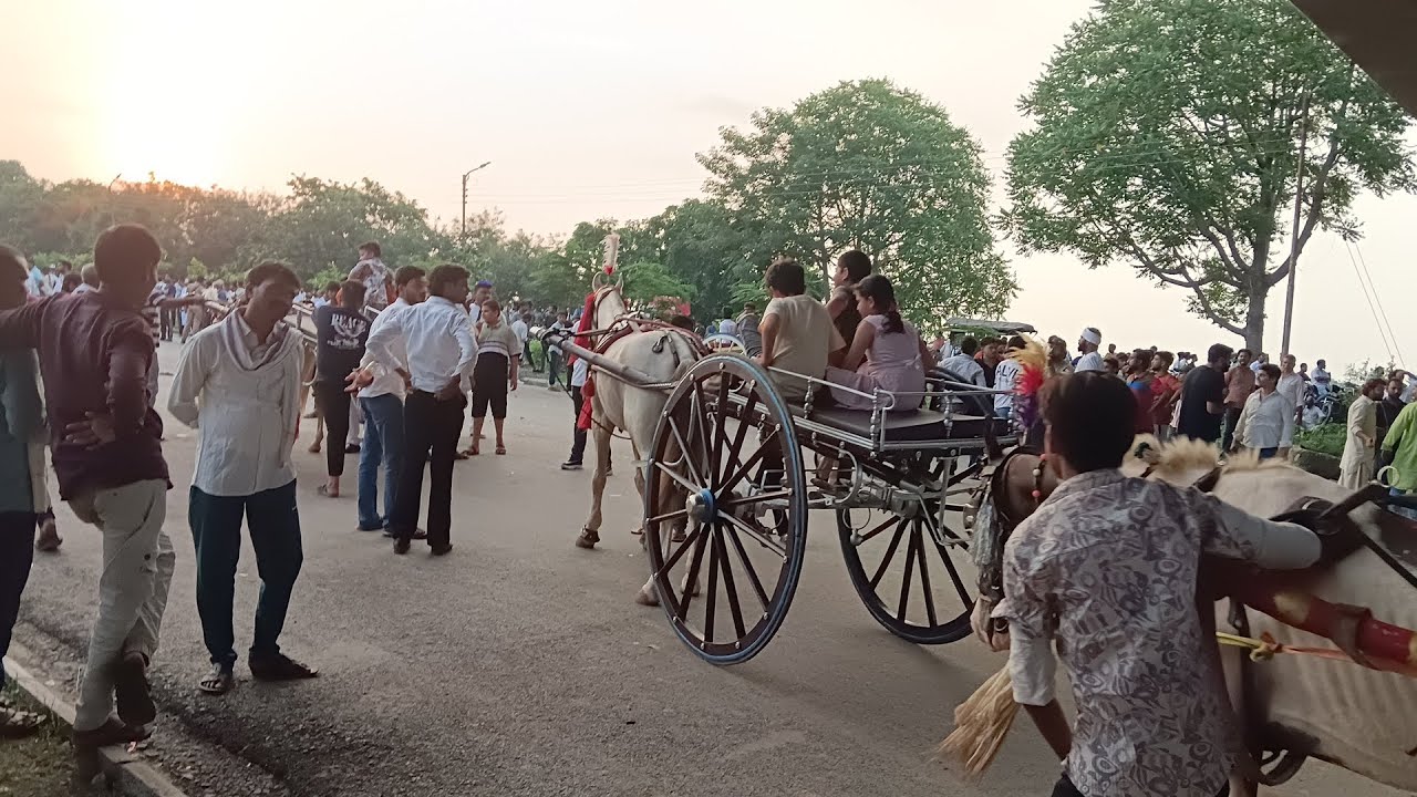 Cal naye pul Ke niche ghodon ki race ho rahi thi