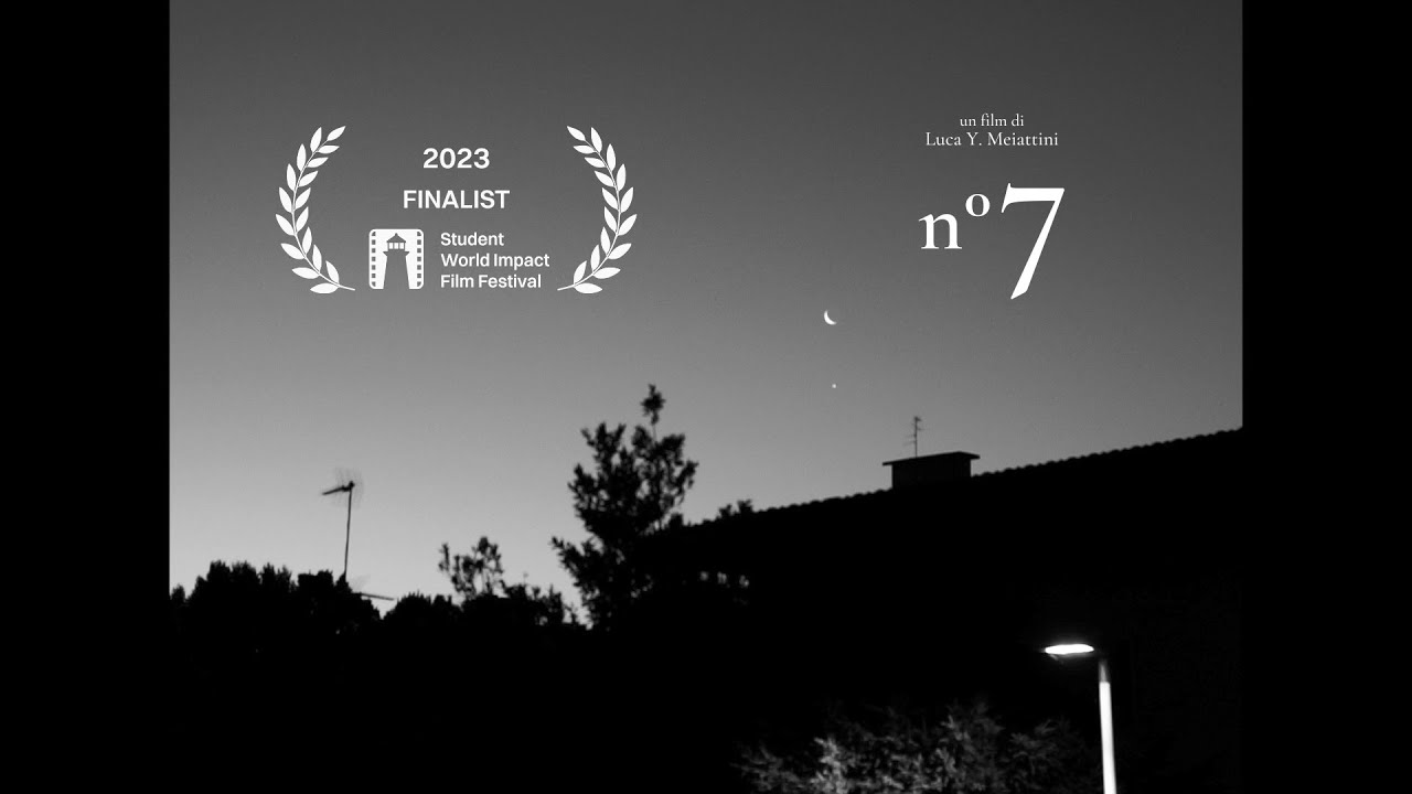 n°7 - Short Film