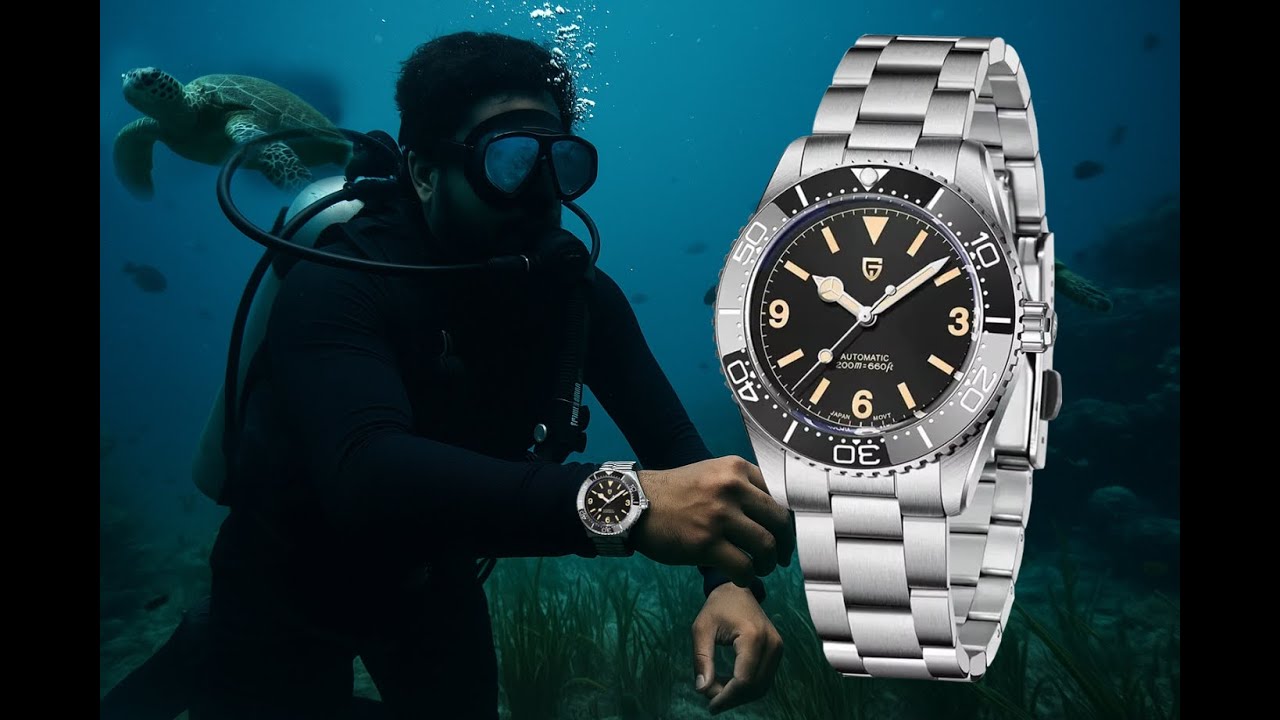Why Are People Obsessed With Dive Watches? 🔥 | Pagani Design PD-1755 Full Hindi Review 🇮🇳