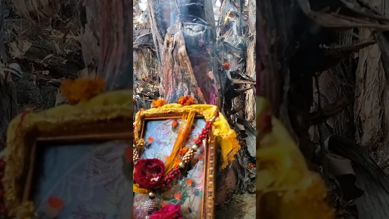 #brihaspati vrat katha