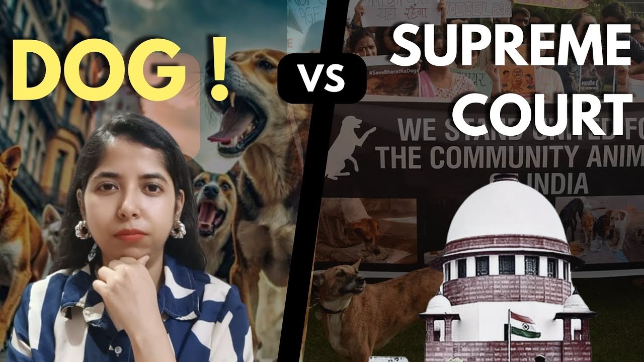 India’s Dog Dilemma: Supreme Court Hearing Sparks Outrage 🐶| #dog #dogs #supremecourtofindia