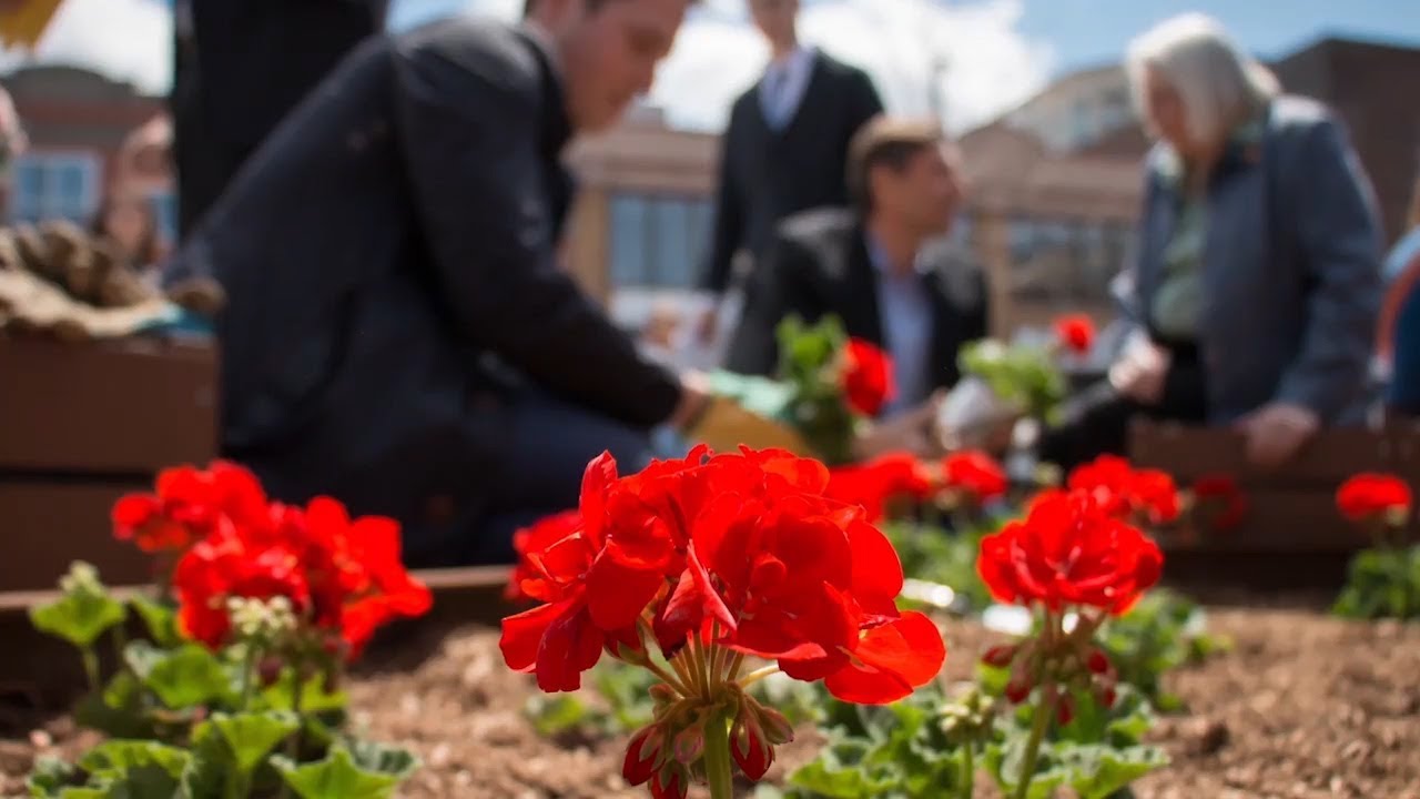 Welcome to the ByWard Market&rsquo;s new gathering place, the George Street Plaza