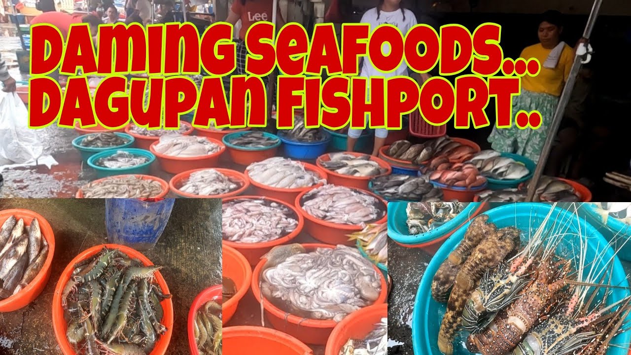 Dagupan Fishport | Magkano ang lobster? | Update sa Presyo ng seafoods