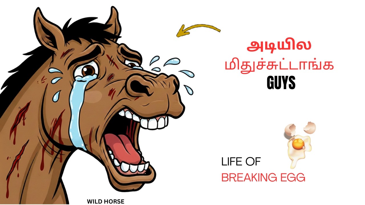 Kaatu Kuthirai  ❌ Egg Odaintha Kuthirai ✅  Life of Wild Horse | Adiyila Midhuchutanga