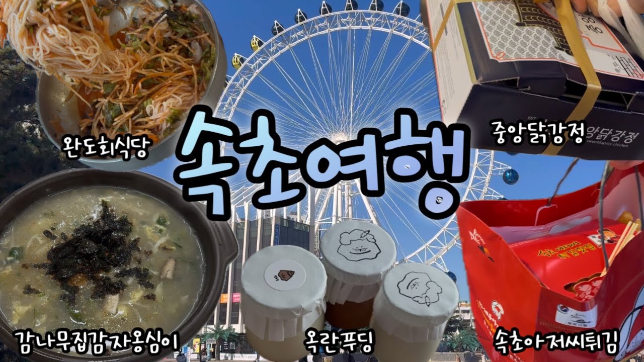 [먹기만한 속초여행 Vlog] 완도회식당(물회맛집)/감나무집감자옹심이/옥란푸딩/속초중앙시장/속초아이대관람차