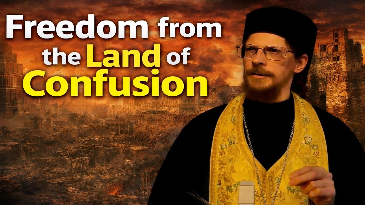 Vigil- Freedom From the Land of Confusion