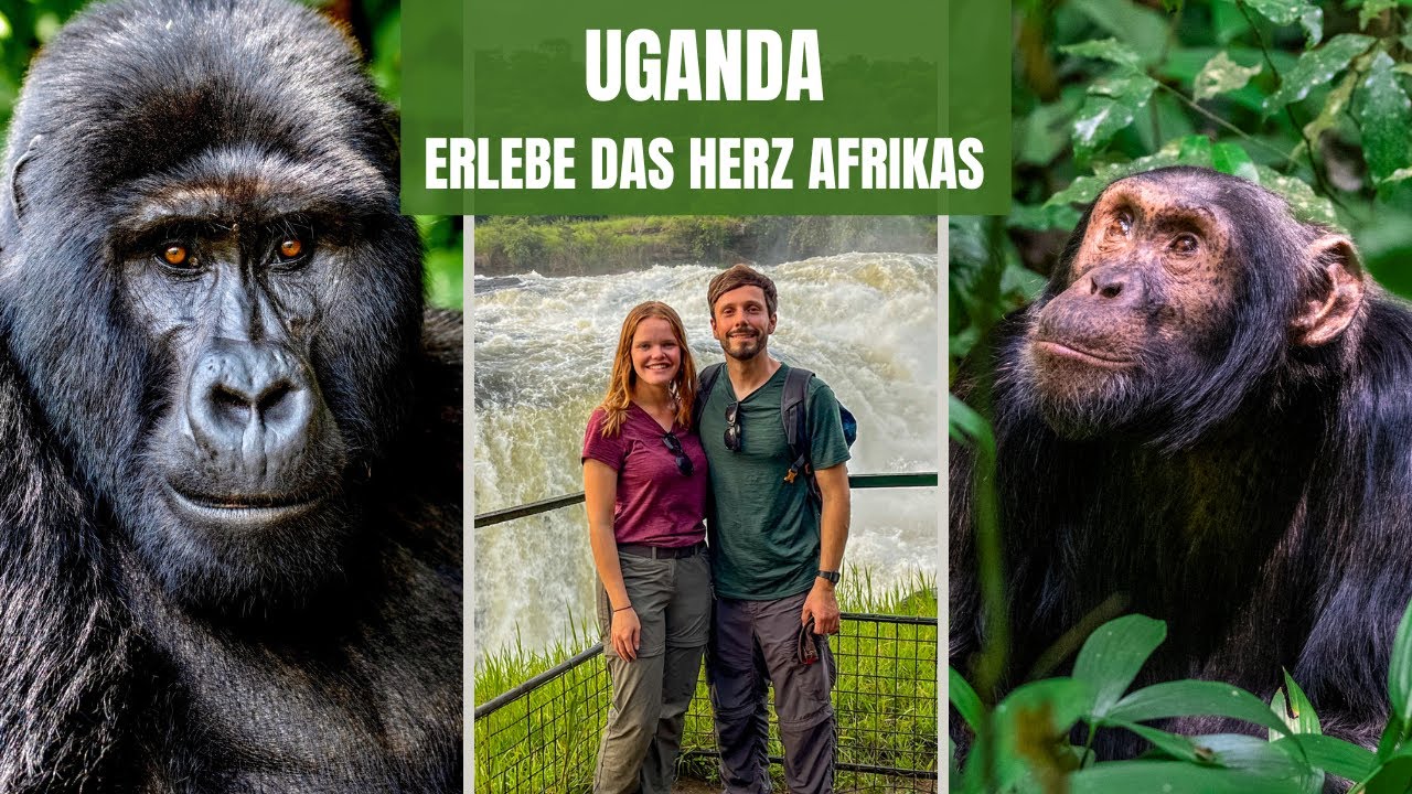 10 Tage Uganda - Entdecke Gorillas und Schimpansen im Herzen Afrikas