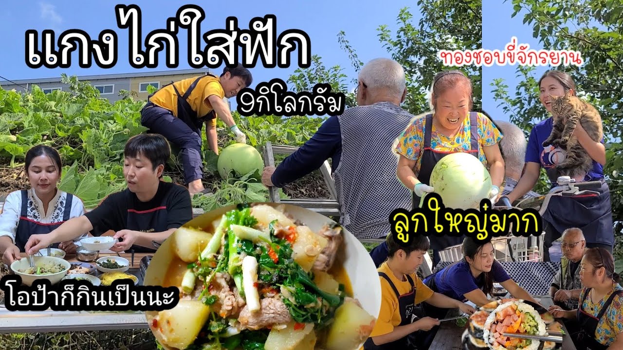 EP.417 สะใภ้ทำเเกงไก่ใส่ฟัก 9กิโลกรัมทำได้หลายเมนู เเม่ย่าทำเเกงจืดใส่ฟัก เเละขายในร้านอาหาร