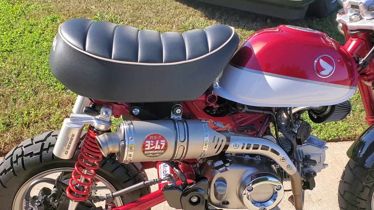 2020 Honda monkey walk-around