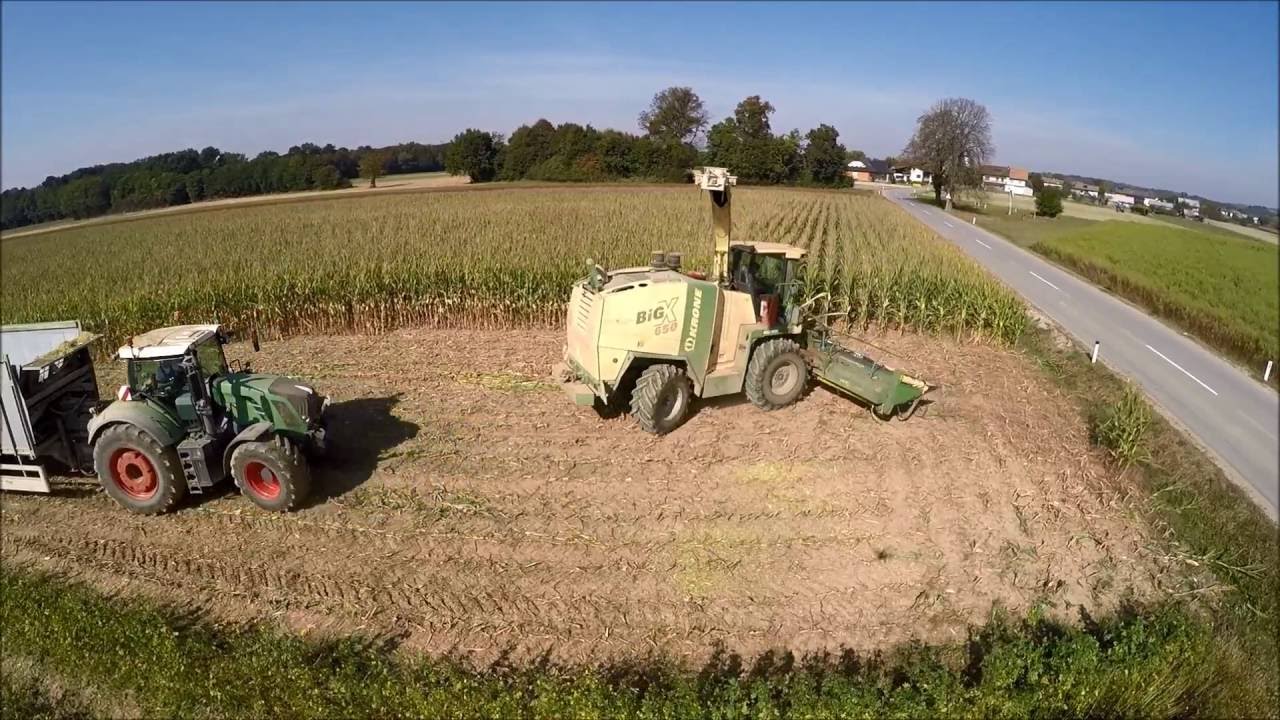 Mais Silage-Farm Cigüt