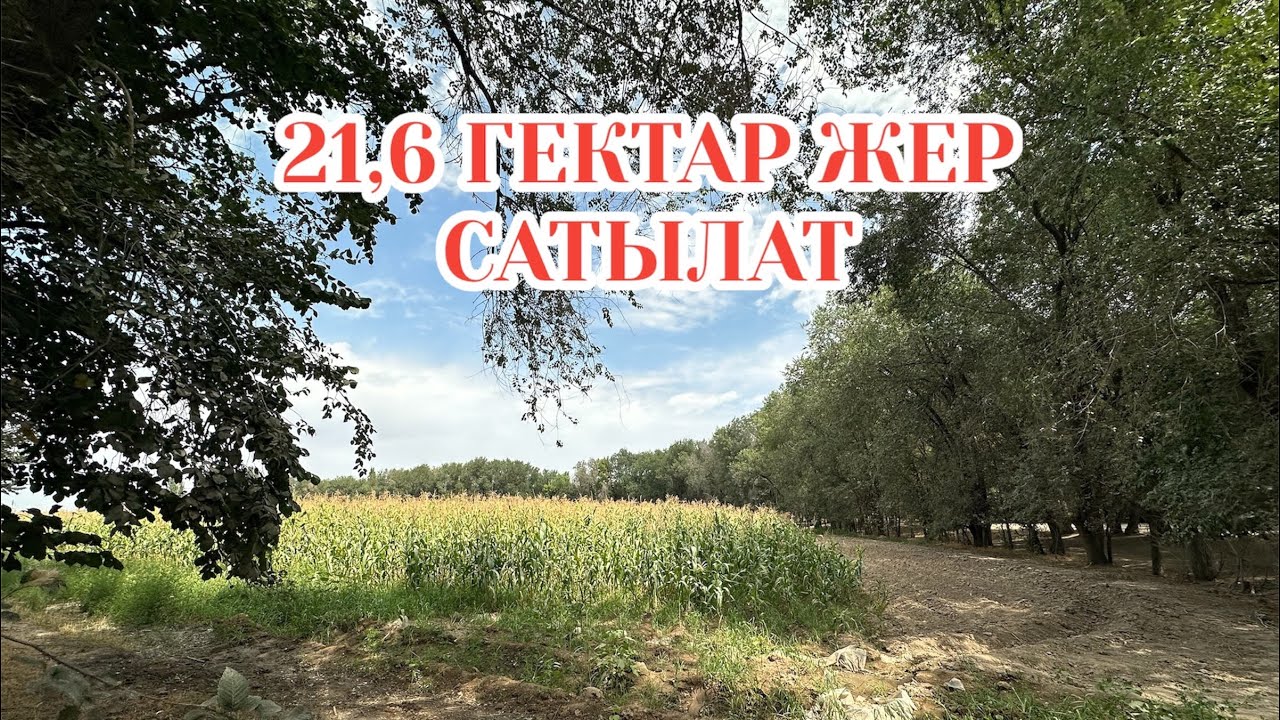 21,6 ГЕКТАР ЖЕР САТЫЛАТ БИШКЕК 2025