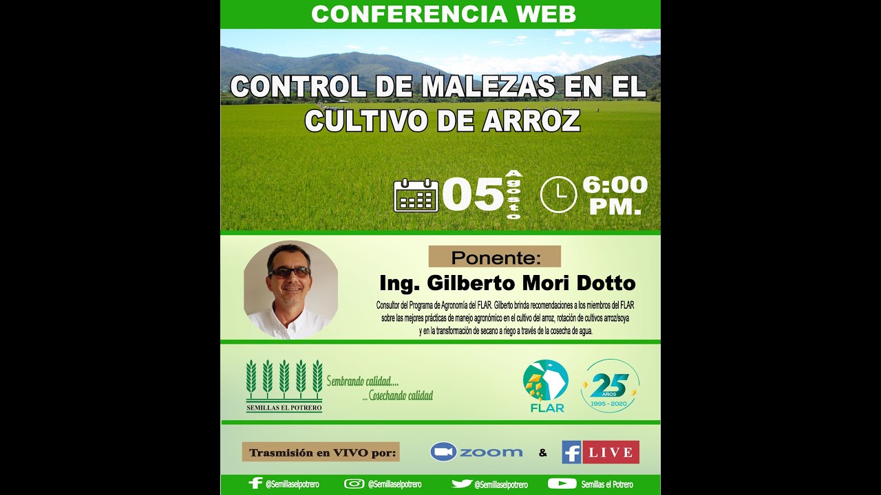 Control de malezas en el cultivo de arroz