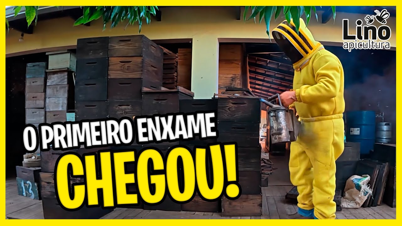 Hoje começa uma nova fase no apiário! 🐝