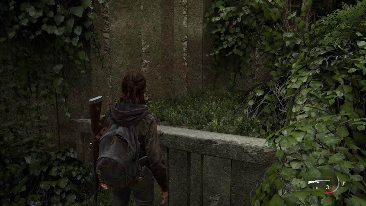 The Last of us part2