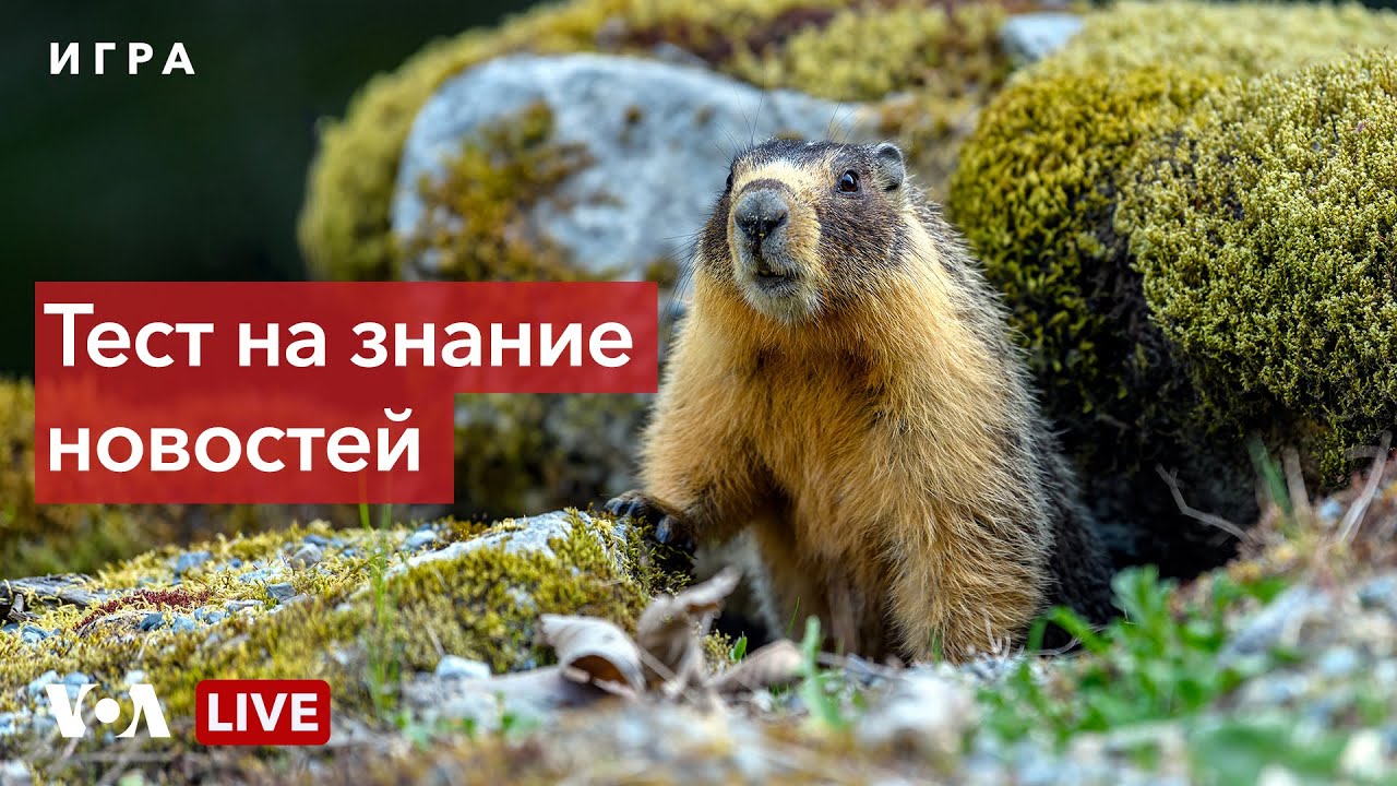Подробно о событиях недели – 4 февраля