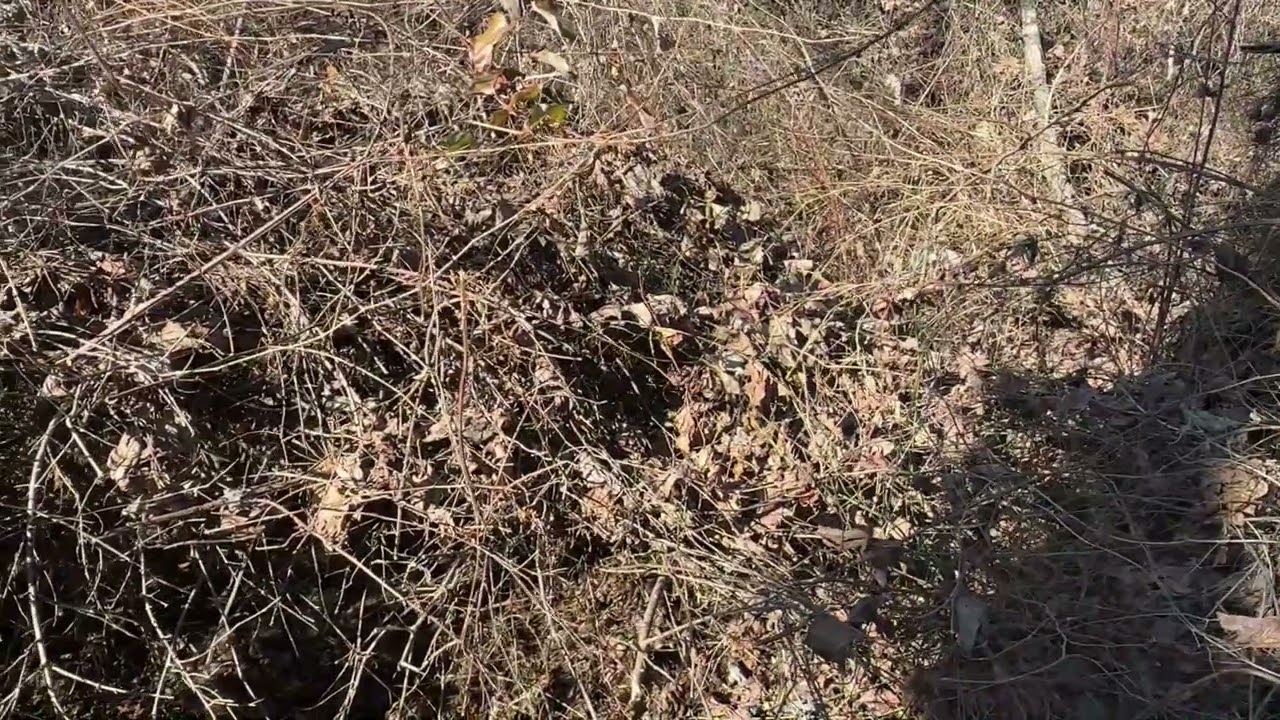 Digging a half acre pond by hand pt 1