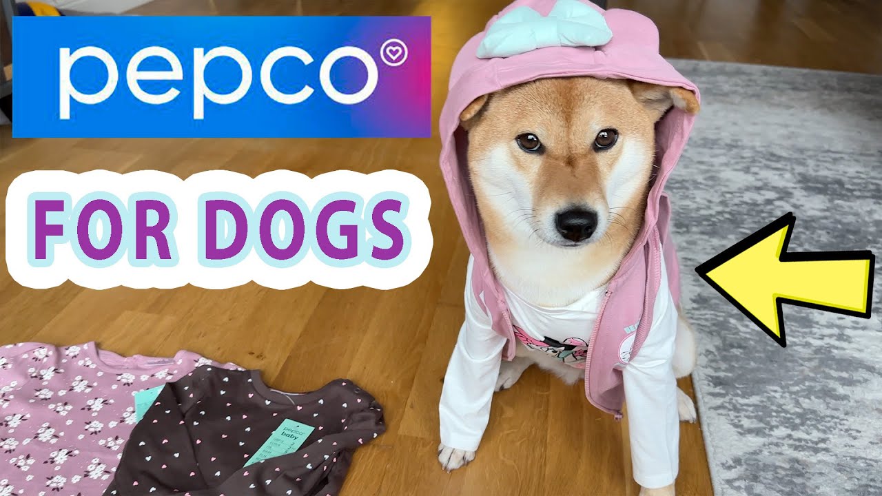 HAVE YOU SEEN THAT❓ WOW 😂 [LIVING IN POLAND] 2023