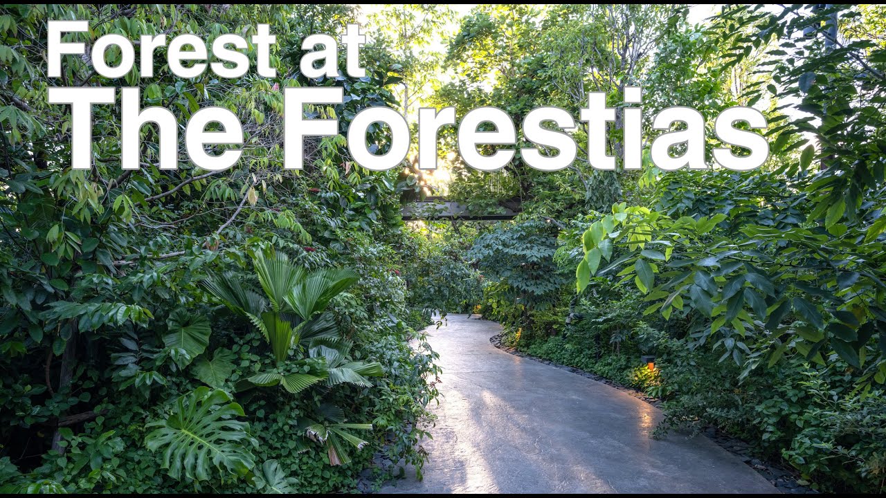 เล่าเรื่องบ้าน EP68 : ไม่ใช่แค่สวน แต่เป็นระบบนิเวศน์ป่าในโครงการ The Forestias