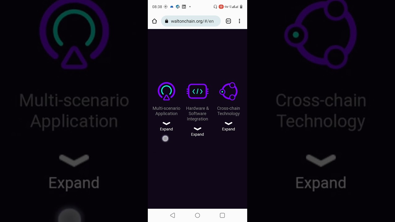 WTA Coin WaltonChain Coin review| WaltonChain utilities and expected future price