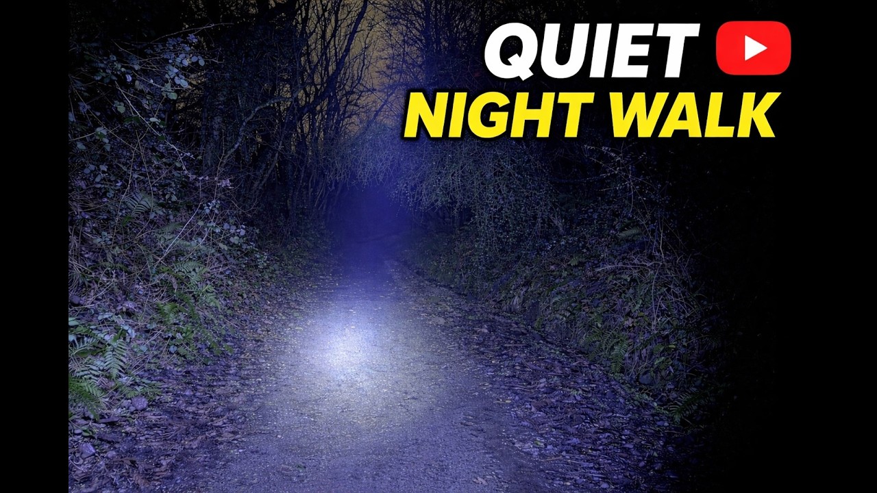 Cold Winter Walk in the Dark  I  ASMR Footsteps & Night Sounds