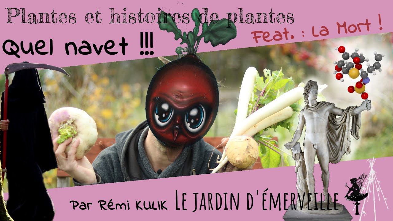 Mais quel navet ! feat. : la Mort !