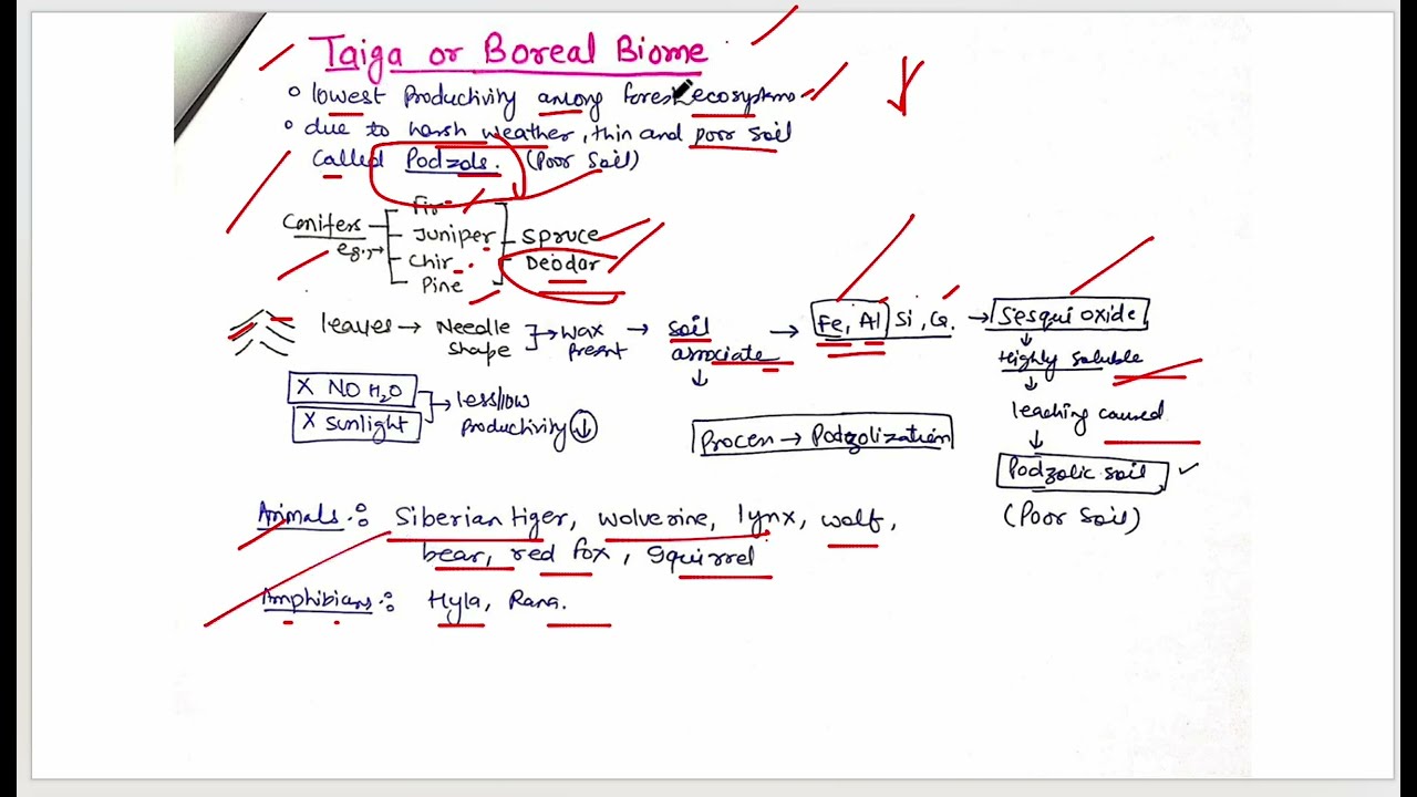 PART 9   Types of Natural Ecosystems, Biomes, Aquatic Ecosystems & Wetlands