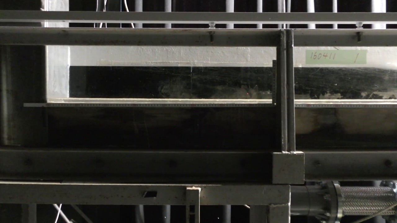 Run-up tsunami on a narrow coastal lowland in flume experiments