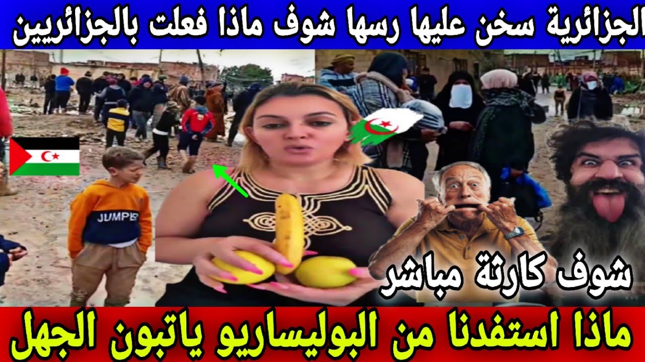 الجزائرية سخن عليها رسها ياتبون ماذا استفدنا من البوليساريو المغرب خشاه لينا هدشي تبهدلنا الصحراء 