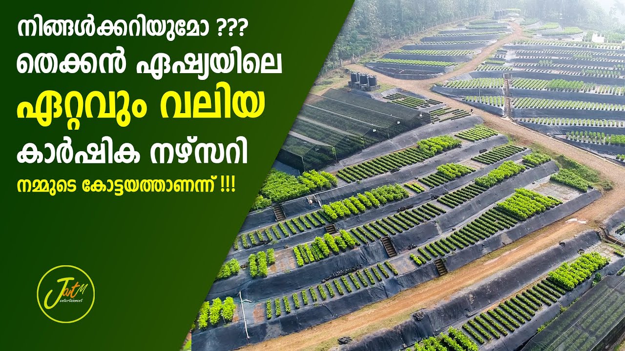നിങ്ങൾക്കറിയുമോ ? ഏഷ്യയിലെ പഴചെടികളുടെ ഏറ്റവും വലിയ കാർഷിക നഴ്സറി കോട്ടയം ജില്ലയിലാണെന്നു .