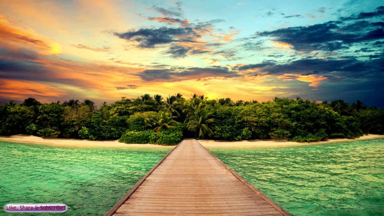 Music Relax Chinese|  Reggae Asian Fusion Music | Tea Roots | Sleep, Study, Relax, Meditation