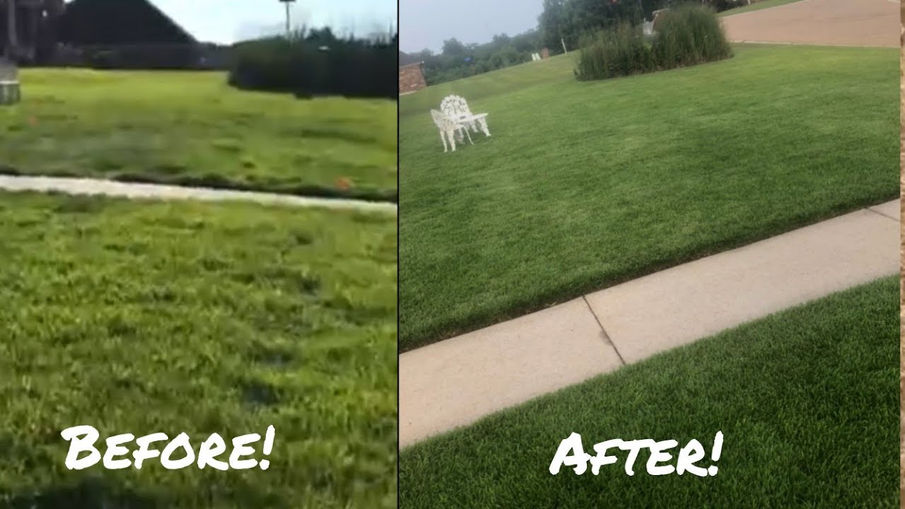 Centipede Grass Renovation Before and After
