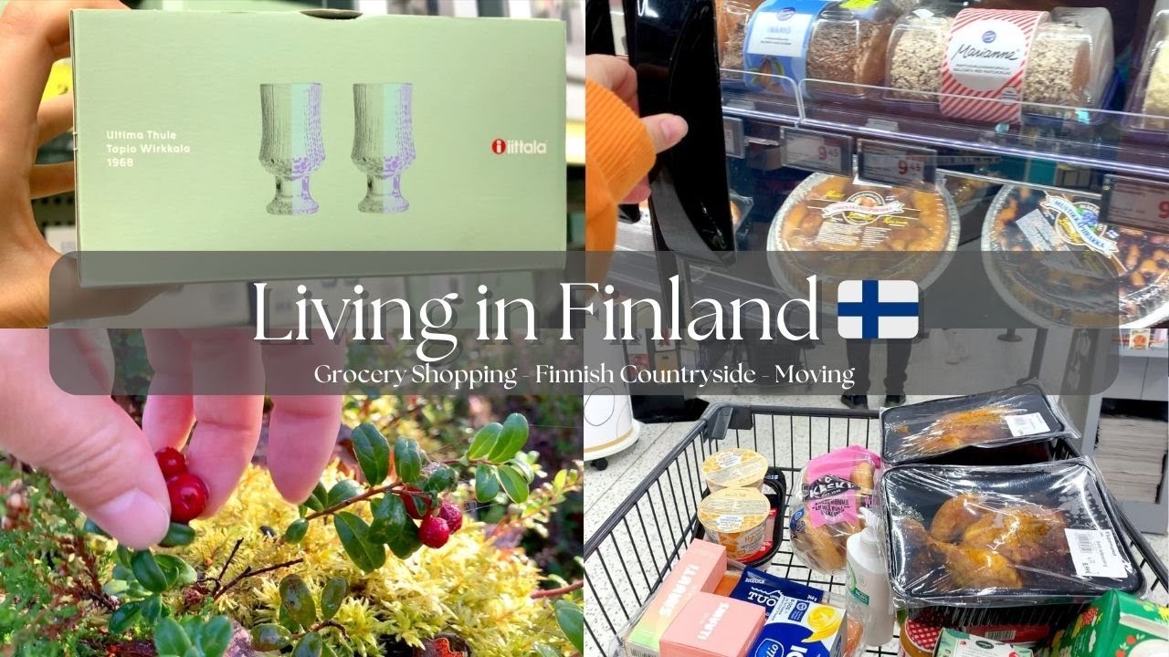 Living in Finland Vlog #15 🇫🇮 Grocery Shopping with Prices | Supermarket | Picking Berries | Moving