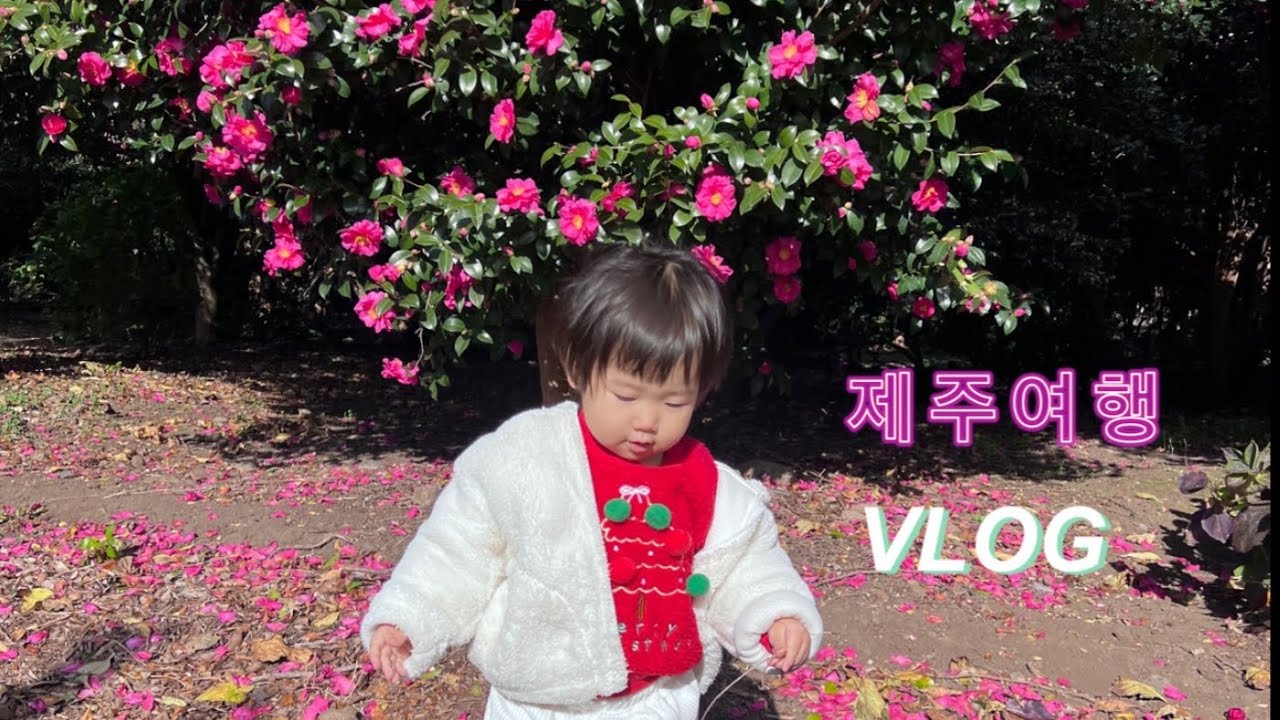 [VLOG] 3대가 함께한 크리스마스 제주 여행