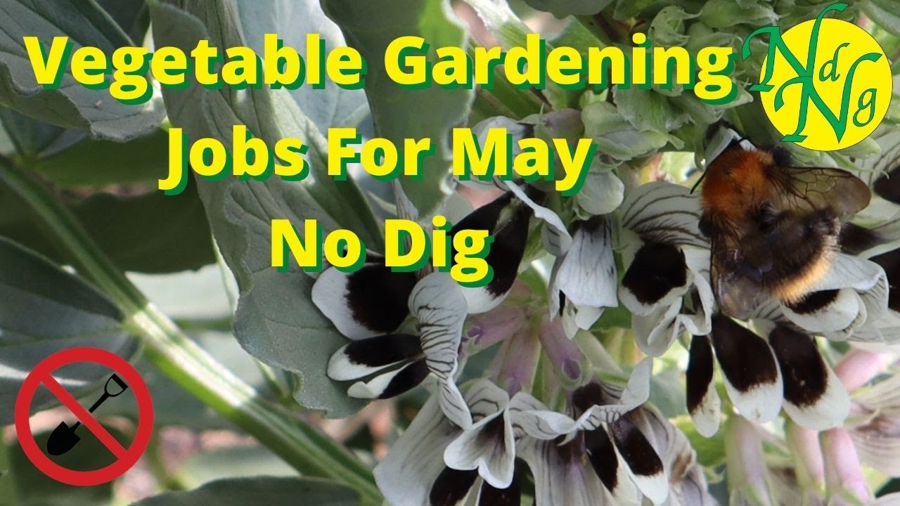 Vegetable Garden Jobs For May No Dig